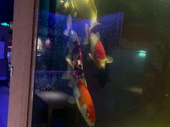 -琴寿司居酒屋(中山广场店)