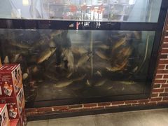 -肥鱼屯活鱼锅(惠工街店)