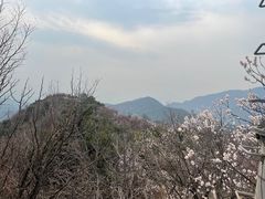 -香山公园
