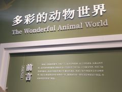 -国家自然博物馆