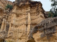 -元谋土林景区(物茂土林)