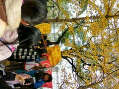 -辽宁大学(崇山校区)