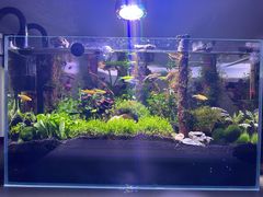 -三旗百汇商品城