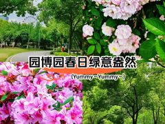 -武汉园博园(武汉自然博物馆)