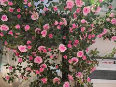 -河风の幸会精致料理