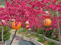-桃源山庄·水蜜桃采摘·柴火鸡·烧烤团建(龙泉山店)