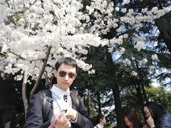-武汉大学-樱园