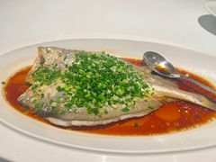 -醉辉皇上海之巅(上海中心大厦店)