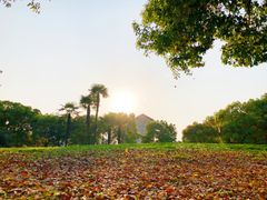 -同济大学(沪西校区)