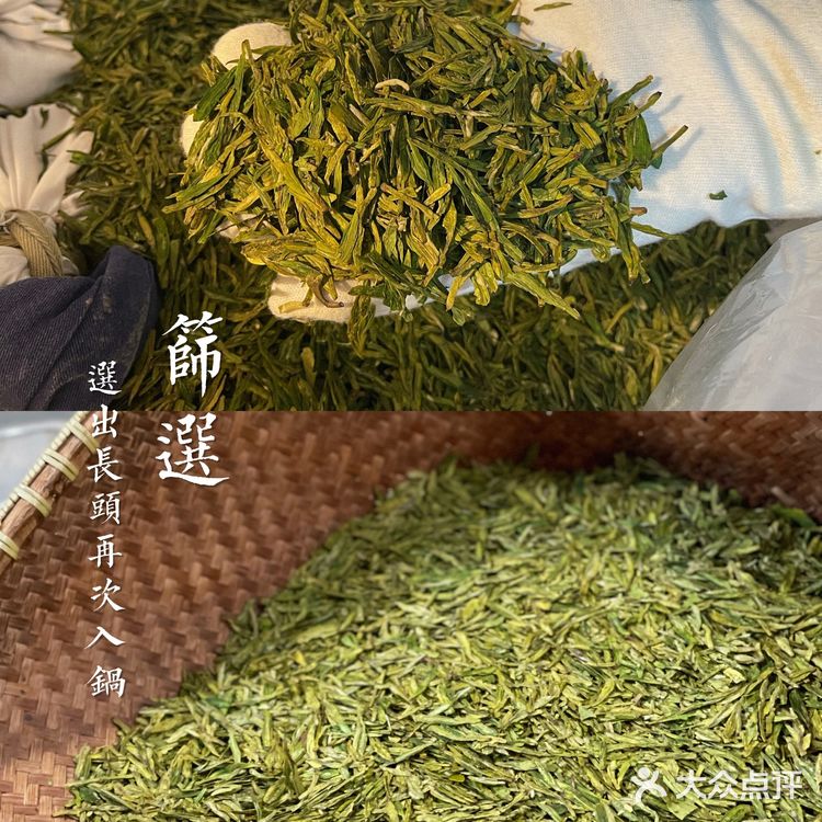 杭州茶园 | 西湖明前龙井