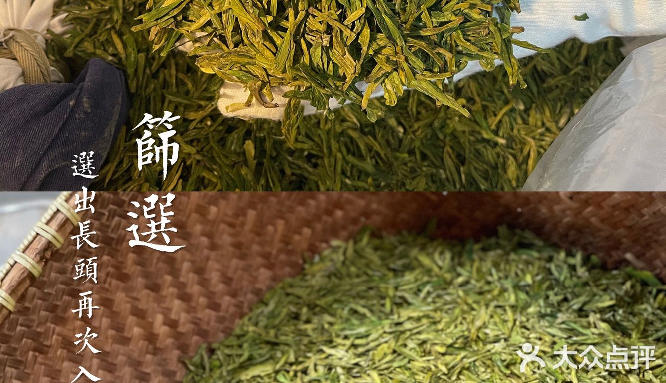 杭州茶园 | 西湖明前龙井