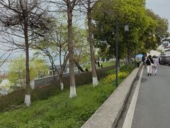 -东梓关景区村庄