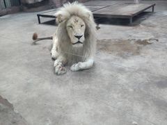 -鄂尔多斯野生动物园