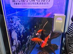 -欢聚烤吧(朱辛庄TBD万科店)