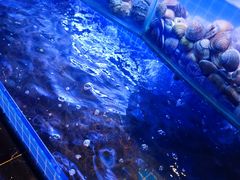 -星伦多自助料理(华润万象城店)