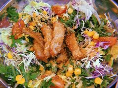 沙拉炸猪排-青春分食(仙林大学城店)