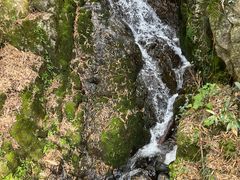 -藏龙百瀑风景区