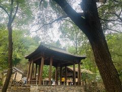 -井塘古村