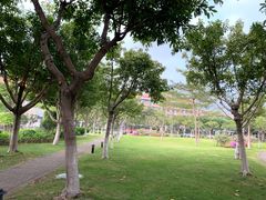-厦门国家会计学院
