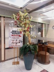 -芳朵美容养生SPA