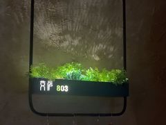 -新紫霞养生·影院足道·SPA(金山区店)