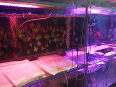 -中环花鸟鱼虫市场