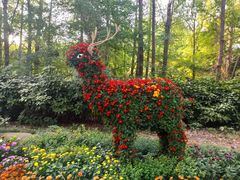 -共青国家森林公园-售票处