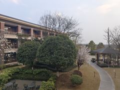 -成都安仁福朋喜来登酒店