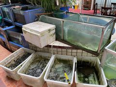水产区-稻香村鱼庄
