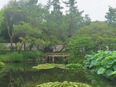 -秋霞圃
