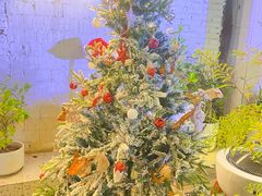 -春树下·树屋花房西餐厅(罍街AS1980店)