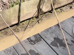 -同銮特种养殖场·龙虾垂钓