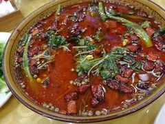 -乡土特色.冷锅鱼.牦牛肉汤锅