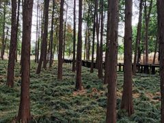 -月湖风景区
