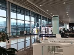 -青岛胶东国际机场
