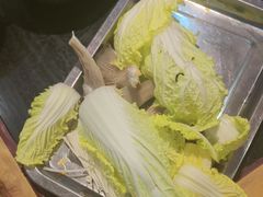 -成老灶火锅鸡(平山店)