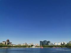-莲花池公园