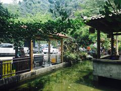 -源泉冷水鱼庄(小鱼洞店)