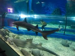 -福州罗源湾海洋世界旅游区