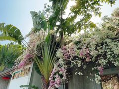 -深圳国际园林花卉博览园