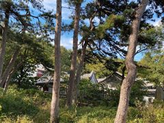 -阳台山自然风景区