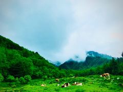 -硗碛藏寨·神木垒景区