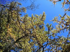 -白草畔自然风景区