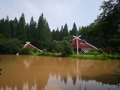 -东平国家森林公园
