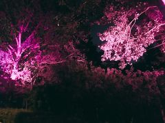 景点-沈阳中山公园