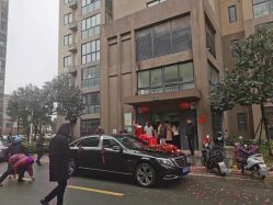 -蚂蚁婚车