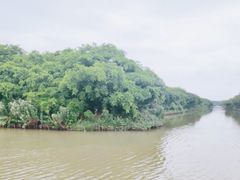 -大湾区中央湿地公园