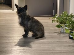 -静 泰养生(黄金城道店)