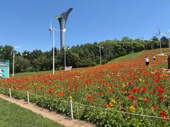 -沈阳植物园