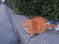 -白石桥南(地铁站)